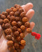 Rudraksha Mala helmet 13mm - Tarotpuoti