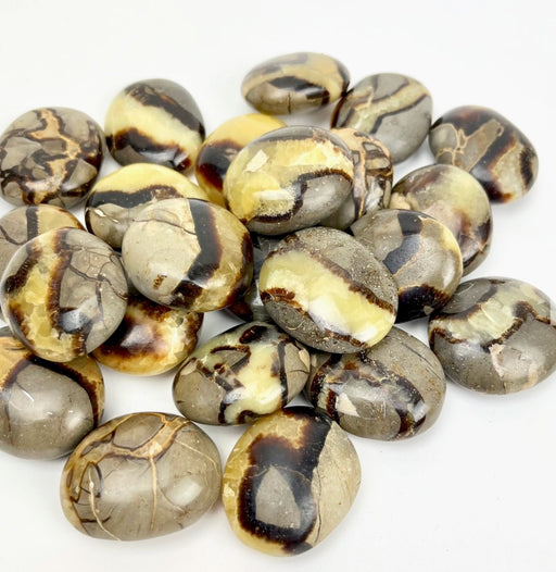 Septaria "lohikäärmekivi" kämmenkivi 3,5-4,5cm - Tarotpuoti