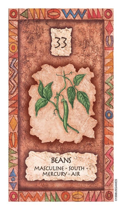 Shaman Wisdom Cards - Tarotpuoti