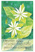 Soulflower Plant Spirit Oracle - Lisa Estabrook - Tarotpuoti