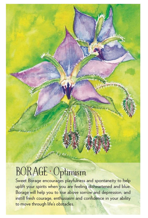 Soulflower Plant Spirit Oracle - Lisa Estabrook - Tarotpuoti