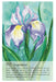 Soulflower Plant Spirit Oracle - Lisa Estabrook - Tarotpuoti