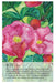Soulflower Plant Spirit Oracle - Lisa Estabrook - Tarotpuoti