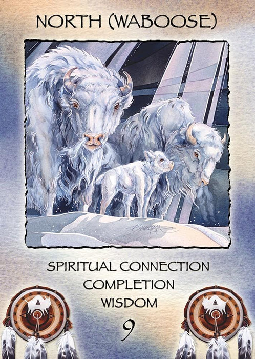 Spirit of the Wheel Meditation Deck - Jody Bergsma - Tarotpuoti