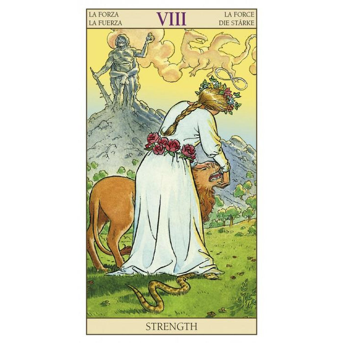 Tarot of New Vision - Tarotpuoti