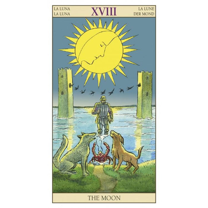 Tarot of New Vision - Tarotpuoti