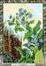 The Druid Plant Oracle: Working with the Magical Flora of the Druid Tradition - Tarotpuoti