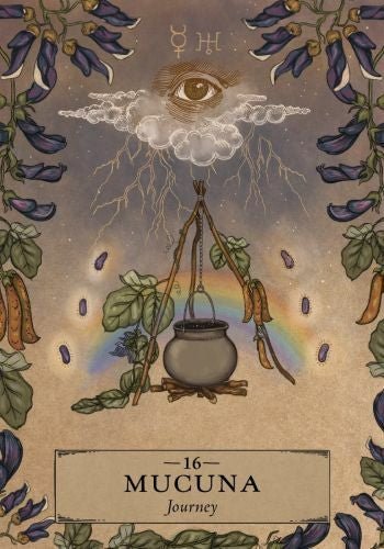 The Herbal Astrology Oracle - Tarotpuoti