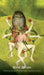 The Hieronymus Bosch Tarot: 78 Cards and 112-Page Guidebook - Travis McHenry - Tarotpuoti