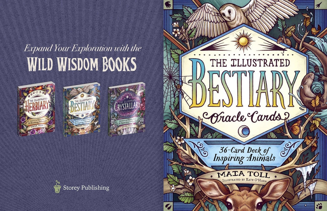 The Illustrated Bestiary Oracle Cards: 36-Card Deck of Inspiring Animals (Wild Wisdom) - Maia Toll, Kate O'Hara - Tarotpuoti