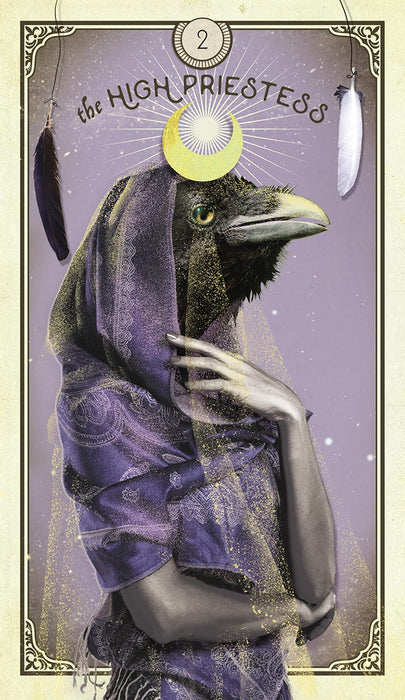 The Tarot of Curious Creatures – Chris-Anne UUTUUS SYYSKUU 2021 - Tarotpuoti