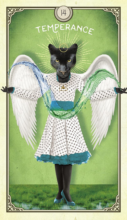 The Tarot of Curious Creatures – Chris-Anne UUTUUS SYYSKUU 2021 - Tarotpuoti