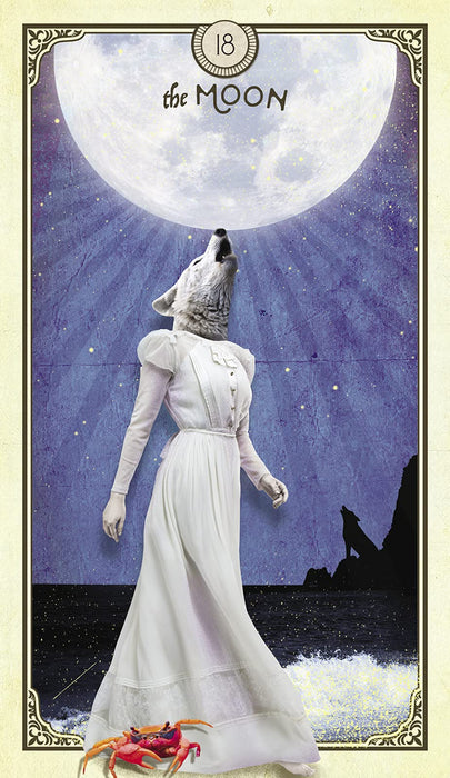 The Tarot of Curious Creatures – Chris-Anne UUTUUS SYYSKUU 2021 - Tarotpuoti