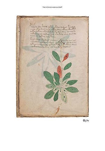 The Voynich Manuscript : The Complete Edition of the World' Most Mysterious and Esoteric Codex - Tarotpuoti