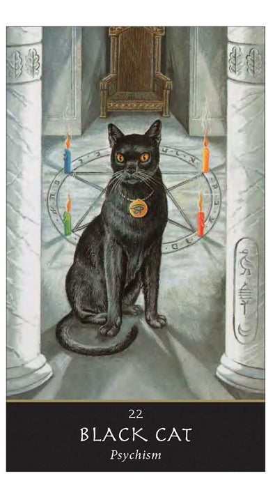 The Witches´Oracle - Sally Morningstar - Tarotpuoti