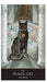The Witches´Oracle - Sally Morningstar - Tarotpuoti