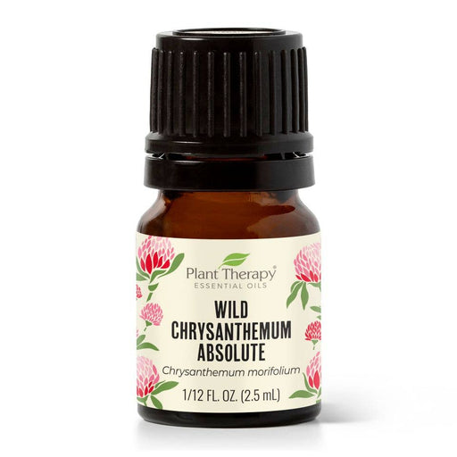 Wild Chrysanthemum Absolute eteerinen öljy 2,5ml - Plant Therapy - Tarotpuoti