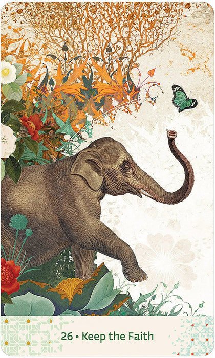 Wisdom of Hafiz - Daniel Ladinsky, Angi Sullins - Tarotpuoti