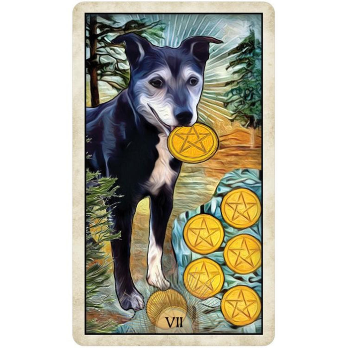 Wise Dog Tarot - MJ Cullinane - Tarotpuoti