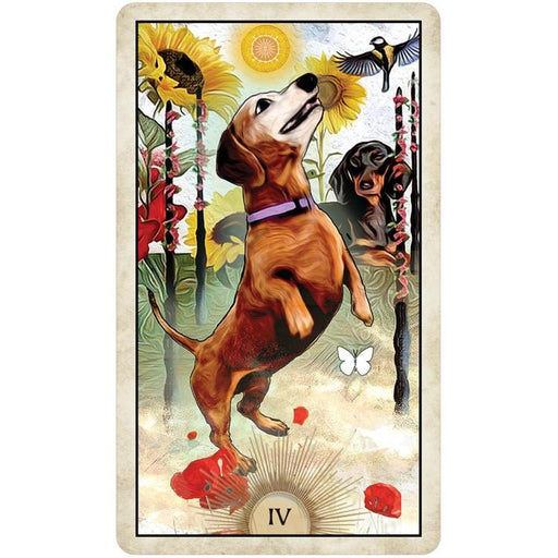 Wise Dog Tarot - MJ Cullinane - Tarotpuoti