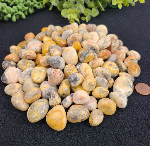 Yellow Crazy Lace Agate 3-5cm - Tarotpuoti